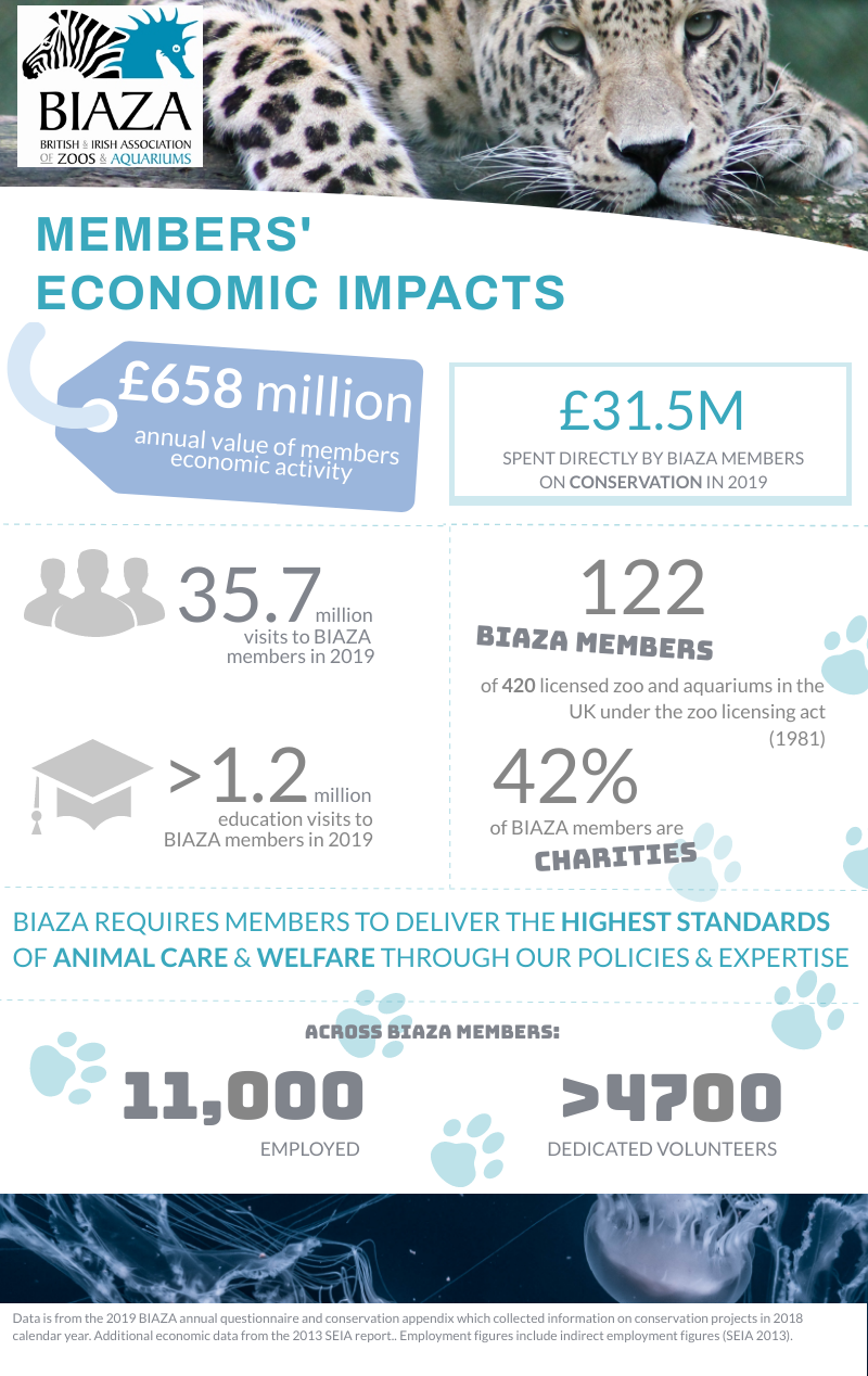 Economic infographi